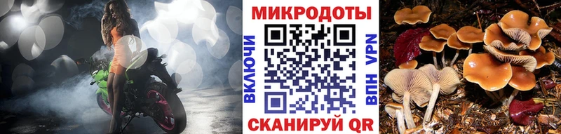 Псилоцибиновые грибы прущие грибы  Купить  Видное 